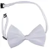 Image de Nœud Papillon tissu, blanc RE11890