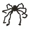 Image de Araignée géante peluche noir et marron FETE-18023