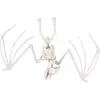 Image de Squelette de chauve souris 30 cm FETE-22239