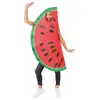 Image de Costume pastèque Adulte - taille unique 23926PC
