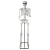 Image de Squelette sur pied articulé - 213cm 24693PC
