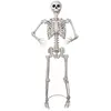 Image de Squelette sur pied articulé - 152cm 24694PC