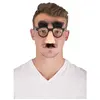 Image de Lunettes plastique Groucho, Nez, moustache et sourcils poilus FETE-40603