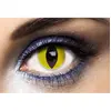 Image de Lentilles journalière de contact (sans correction) , Oeil de chat jaune, la paire FETE-55508