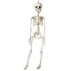 Image de Squelette à suspendre - 76 cm RDLF-76000