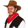 Image de Chapeau Cowboy imitation nubuck adulte, Marron FETE-82010