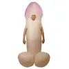Image de Costume adulte gonflable zizi, taille unique FETE-90425
