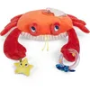 Image de Grand crabe d'activités Les aventures de Paulie