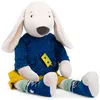 Image de Chien Pilou géant Puce et Pilou (95 cm)