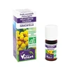 Image de Docteur valnet huile essentielle d'hélichryse italienne 5ml