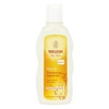 Image de Weleda shampooing capillaire régénérant Avoine 190 ml