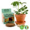 Image de Kit de jardinage : Graines de Cacahuètes avec pot 8 cm RadisetCapucine-14264