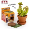 Image de Kit de jardinage : Graines de plantes carnivores - A faire pousser RadisetCapucine-27001