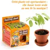 Image de Kit de jardinage : Graines de plante qui danse - A faire pousser RadisetCapucine-28733