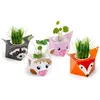 Image de Mon atelier jardinage : La farandole des animaux en origami RadisetCapucine-36786