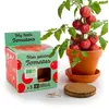 Image de Kit jardinage : Tomates bio RadisetCapucine-41560