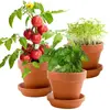 Image de Kit de jardinage : Trio 3 pots plantes gourmandes bio RadisetCapucine-41564