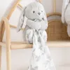 Image de Doudou Augustin le lapin gris