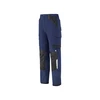 Image de Pantalon ruler lx 200 - 300 g entre 4 et 6 pantalon 46 1 pièce(s) cordura, nylon, spandex pantalon stretch ruler bleu/noir t46 bleu, noir - lafont
