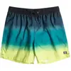 Image de Short de bain Layback Billabong All Day Fade Vert 2XL EBYJV00121-BLK