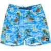 Image de Short de bain Quiksilver Everyday Straight Volley (17") Bleu S EQYJV04100-BLQ6