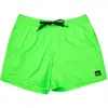 Image de Short de bain Quiksilver Everyday Solid Volley Vert S EQYJV04120-GGY0