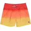 Image de Short de bain Billabong All Day Fade Jaune XL EBYJV00121-YGJ1