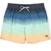 Image de Short de bain Billabong All Day Fade Vert XL EBYJV00121-GBQ4