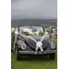 Image de Kit Mariage - Décoration Pour Voiture - Blanc 5140-51