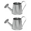 Image de Lot de 2 petits Arrosoirs en métal 5x9cm RDF-5281