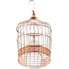 Image de Tirelire Cage métal Rose Gold CH6202 20