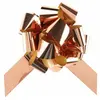 Image de Lot de 5 Noeuds métallisés (larg ruban 31mm), Rose Gold brillant RDF-1790-20-31-rose