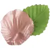 Image de Sachet de 100 pétales avec feuilles, métallisées Rose Gold RDF-2869