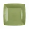 Image de Lot de 10 Petites Assiettes Carrées carton compostables 18x18cm, vert Sauge CH7407 103