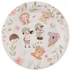 Image de Paquet de 10 Assiettes Explorateur enfant 22,5cm 7569