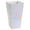 Image de Sachet de 8 Cornets Girl or Boy ? RDF-7658