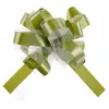 Image de Sachet de 5 Noeuds automatiques tulle, vert Sauge CH2361 103