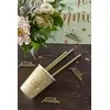 Image de Sachet de 20 pailles Joyeux Anniversaire, vert Sauge RDF-5667