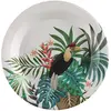Image de Assiettes en carton x10 - Java 8020