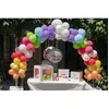 Image de Arche De Ballons - Anniversaire - Multicolore 8024