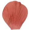 Image de Sachet de 100 pétales avec feuilles coloris Terracotta RDF-2868-terracotta