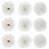 Image de Boite de  Fleurs assorties 7cm à 10cm RDF-8569-1