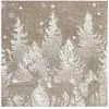 Image de Sachet de 20 Petites serviettes - Noël sous la neige FETE-9575