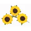 Image de Sachet 12 petites fleurs de Tournesol jaune FL529 12JA
