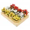 Image de Déco Composition Fleurs de Noël avec Paquet dans pot 12cm assortie (x1) PO1029