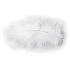 Image de Sachet 10g de 100 plumes 5-10cm, Blanc C-0702-00