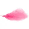 Image de Sachet 10g de 100 plumes 5-10cm, Rose vif C-0702-04