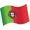 Image de Sachet de 16 Confettis en bois Drapeau portugais C-82004
