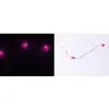 Image de Guirlande 2m avec 20 leds, Coeurs roses FETE-1602