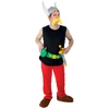 Image de Déguisement Asterix - Adulte C4193M